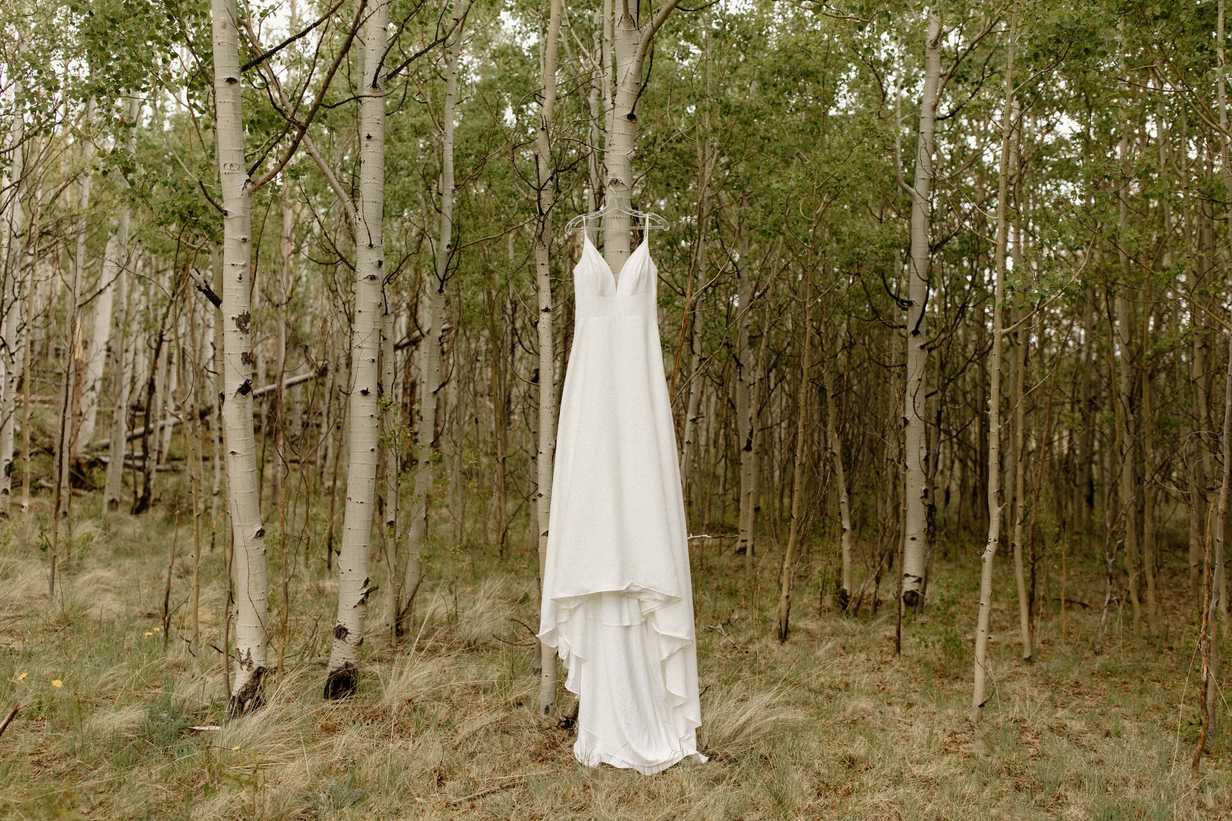 Beautiful, classic white wedding dress hanging among the aspen trees in Fairplay, Colorado